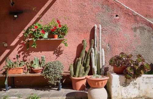 La Casa Di Simba A Piombino - Foto 26