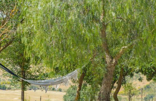 Cubo's Cortijo El Perezon - Foto 74