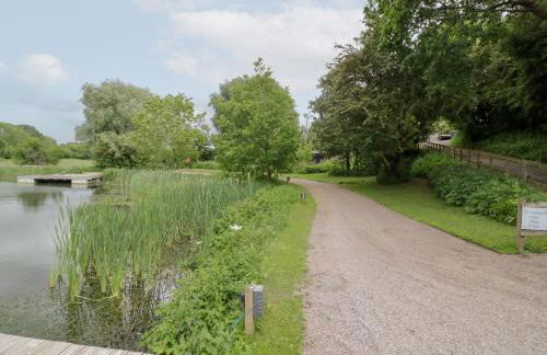 The Tunnel at Bridge Lake Farm and Fishery - Foto 38