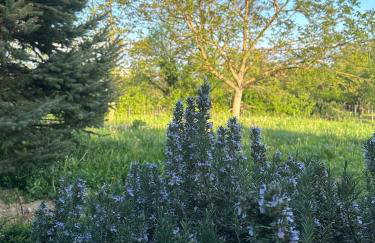 Podroom LauMarYvo - Foto 53