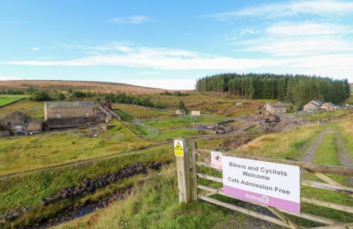 The Museum - Foto 44