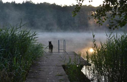 Holiday Home by Lake Klepnicko With Pier - Foto 45