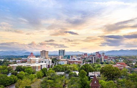 The Views Over Pack Square - Foto 37