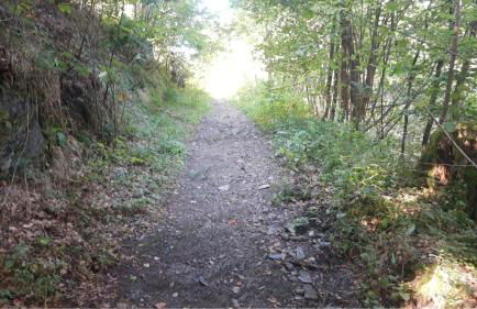 Ferienhaus Am alten Fachwerk - Foto 14