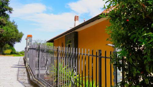 Vista mare tra gli ulivi - Foto 3