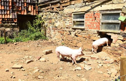 Wohnung mit Eigener Terrasse in Huddinge - Photo 64