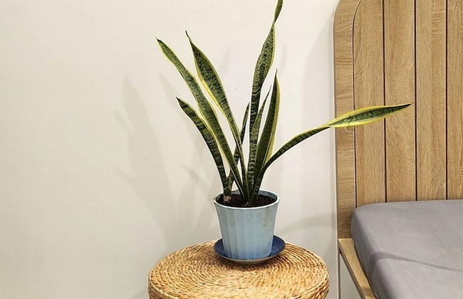 Vinhomes Grand Park Homes by Christine - Foto 55