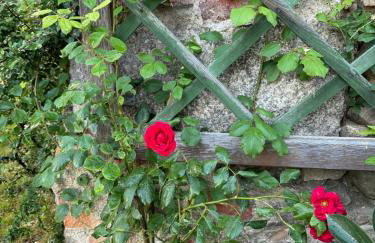 Czerwony Dworek 8 - Agroturystyka Karkonosze - Foto 24