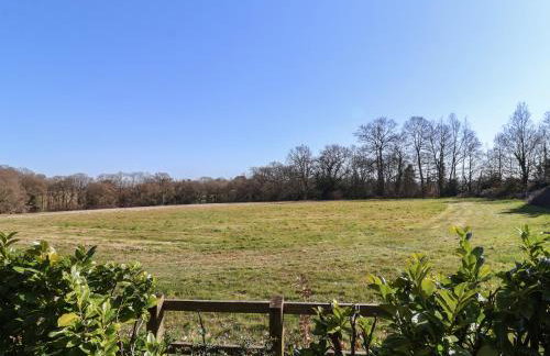 The Woodshed - Foto 20