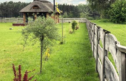 Domek pod Strzechą - Foto 15