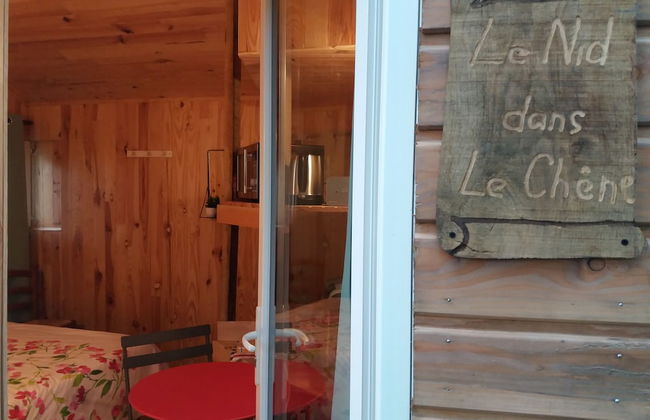 Cabane Dans Les Arbres - Le Nid Dans Le Chêne - Foto 13