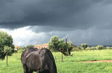 Resort Fonte Vulci - Foto 137