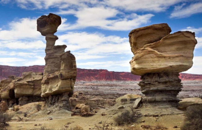 Escursione al Parco Provinciale di Ischigualasto - Foto 3