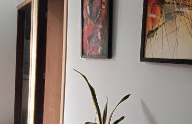 Jardim Primavera - Photo 8