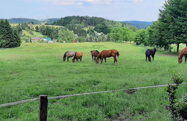 Cosy Holiday Home Near the ski Lift - Foto 34