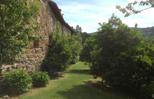 Quinta Das Escomoeiras - Foto 24