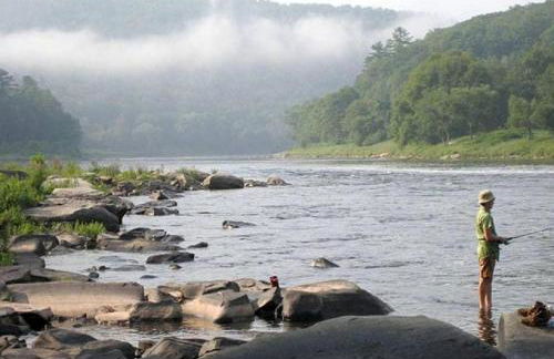 Charming Cottage Rental with Antique Decor in Narrowsburg, New York - Foto 8