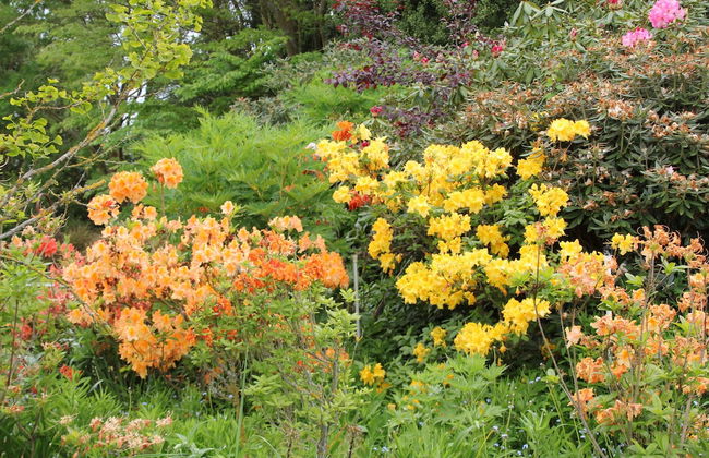 Silverstream Alpaca Farmstay and Tour - Foto 48