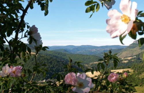 la charbonniere - Foto 9