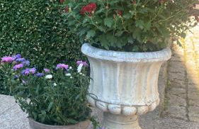 Bezaubernde Ferienwohnung mit Rosengarten - Foto 14