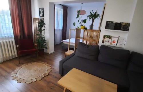 M37 x Fabryczna - Photo 4