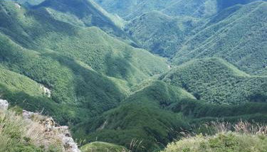 La Tana dei Tassi - Foto 2