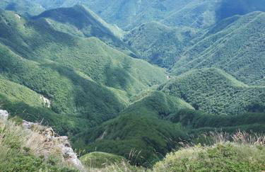 La Tana dei Tassi - Foto 2