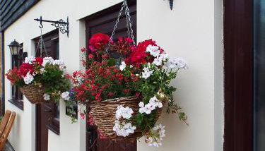 The Stableyard - Foto 2