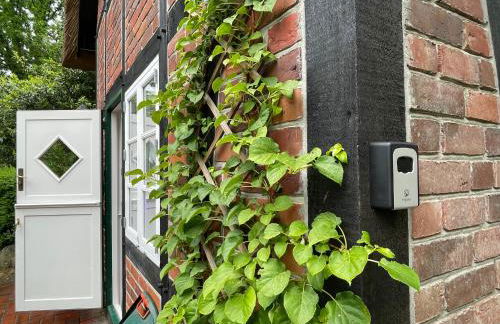 Ferienhaus unter Reet im Heidedorf Sankt Dionys bei Lüneburg - Foto 16