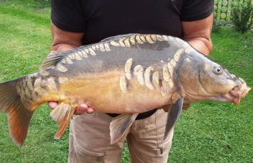 Orzechowy Dworek - Foto 18