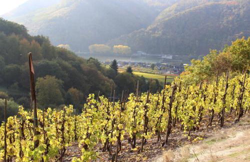 Ferienwohnungen Am Bruttiger Moselsteig - Foto 80