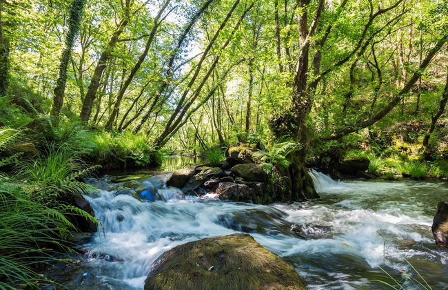 O Muíño de Pena Casa Rural - Photo 50