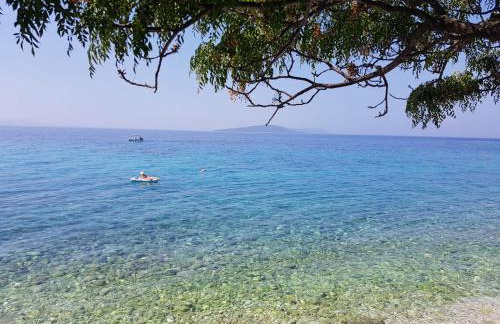 Apartments Latkovic - Photo 46