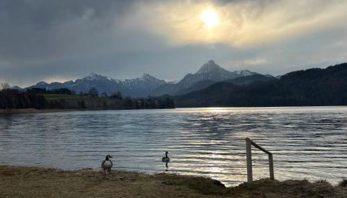 Landhaus am Weissensee - Foto 3