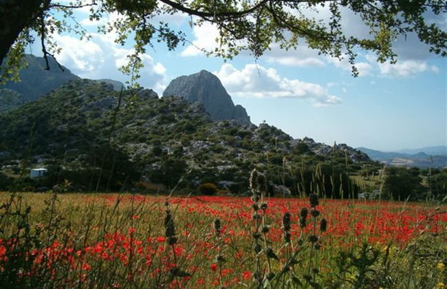 Luxurious Villa in Loja With Swimming Pool - Foto 15