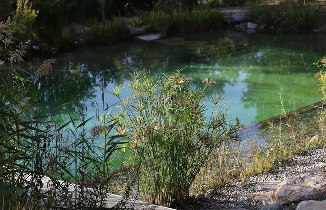 Orion Tree houses - Foto 37