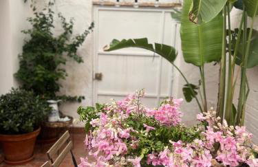 ruralhome callemayor - Photo 10