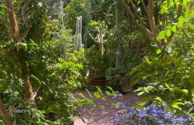 Lilo's Apartments - Foto 12