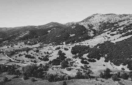 Kalavryta Grand Residence - Photo 52