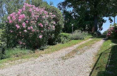 Antica Quercia Apartment - Photo 22