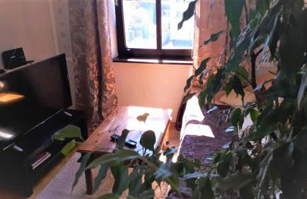 Schloss Weichs zu Regensburg mit 2Schlafzimmer Parkplatz Internet 75qm Zentrum - Foto 18