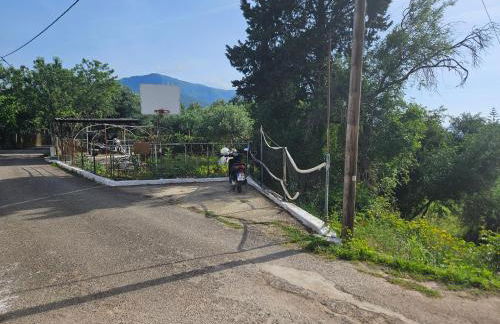 Sylvia's Sweet Home - Foto 52