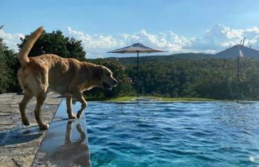 Casolare il Moro - Foto 14