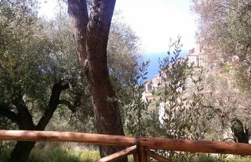 le case dei fiori - Foto 80