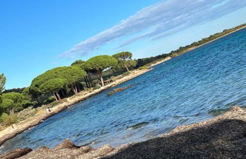 Maison SAINTE LUCIE DE PORTO-VECCHIO - Foto 10