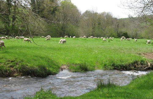 Gîte La Maison du Meunier - Foto 8