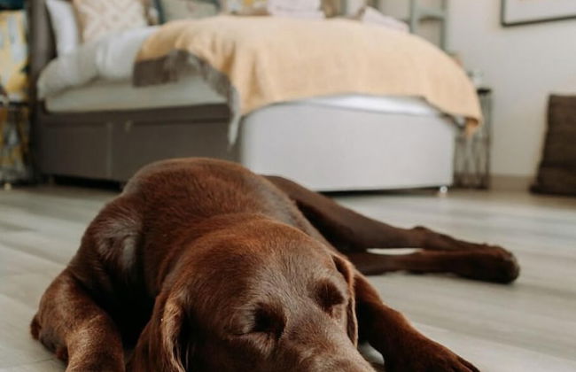 Truly Kentish Holiday Lets - Photo 4