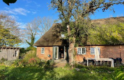Thatched Brick House Near The River Schlei - Photo 17
