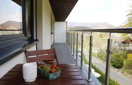 Czarodziejska Góra Kozubnik Daglezja - Foto 23