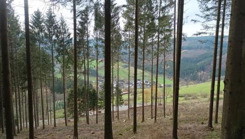 Häuser Traumblick und Alpenzauber - Foto 5